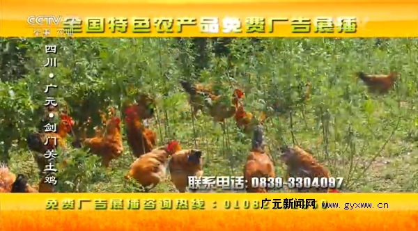 广元特色农产品“剑门关土鸡”公益广告登录央视