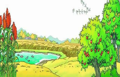 80后还记得小学时学过的语文课文吗