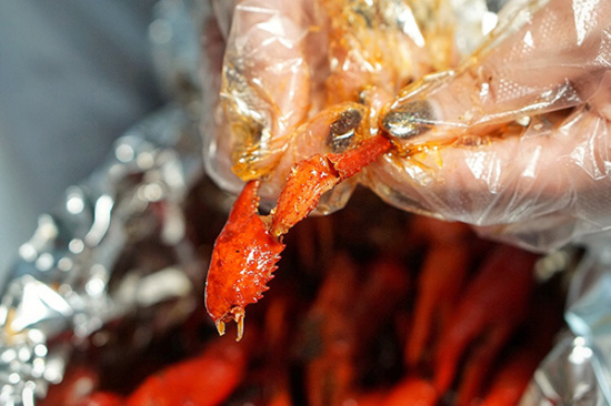 在庄里吃麻辣小龙虾不用担心卫生问题 你会不停的要
