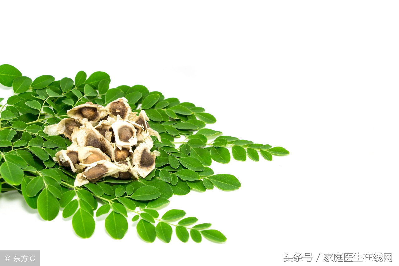 辣木有这3个不为人知的功效，知道答案的人都很聪明