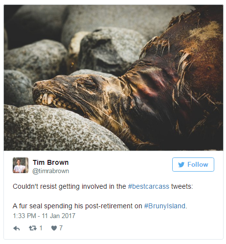 Twitter上的最新科学辩论：动物尸体比美大赛