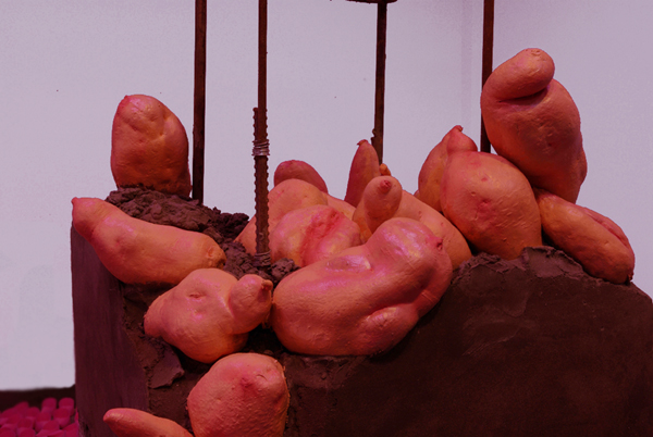 周煜嵋：一个种红薯的艺术家