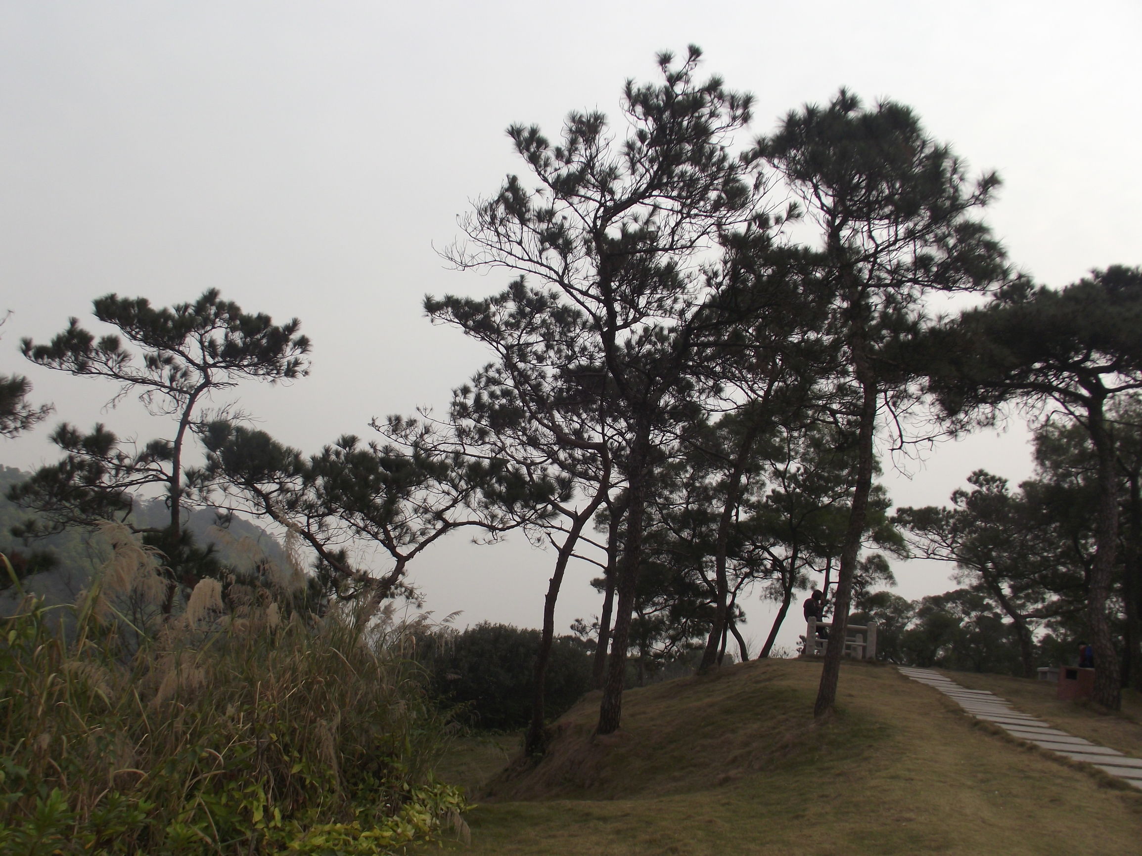 欢迎来广州森林公园十八罗汉山游玩