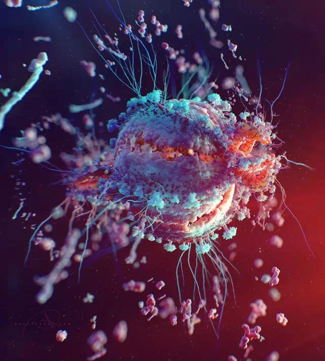 微观艺术：病毒之美
