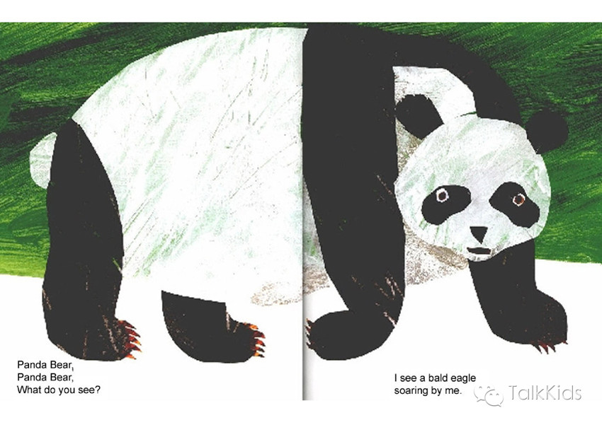 绘本故事 | 熊猫，你看到了什么？