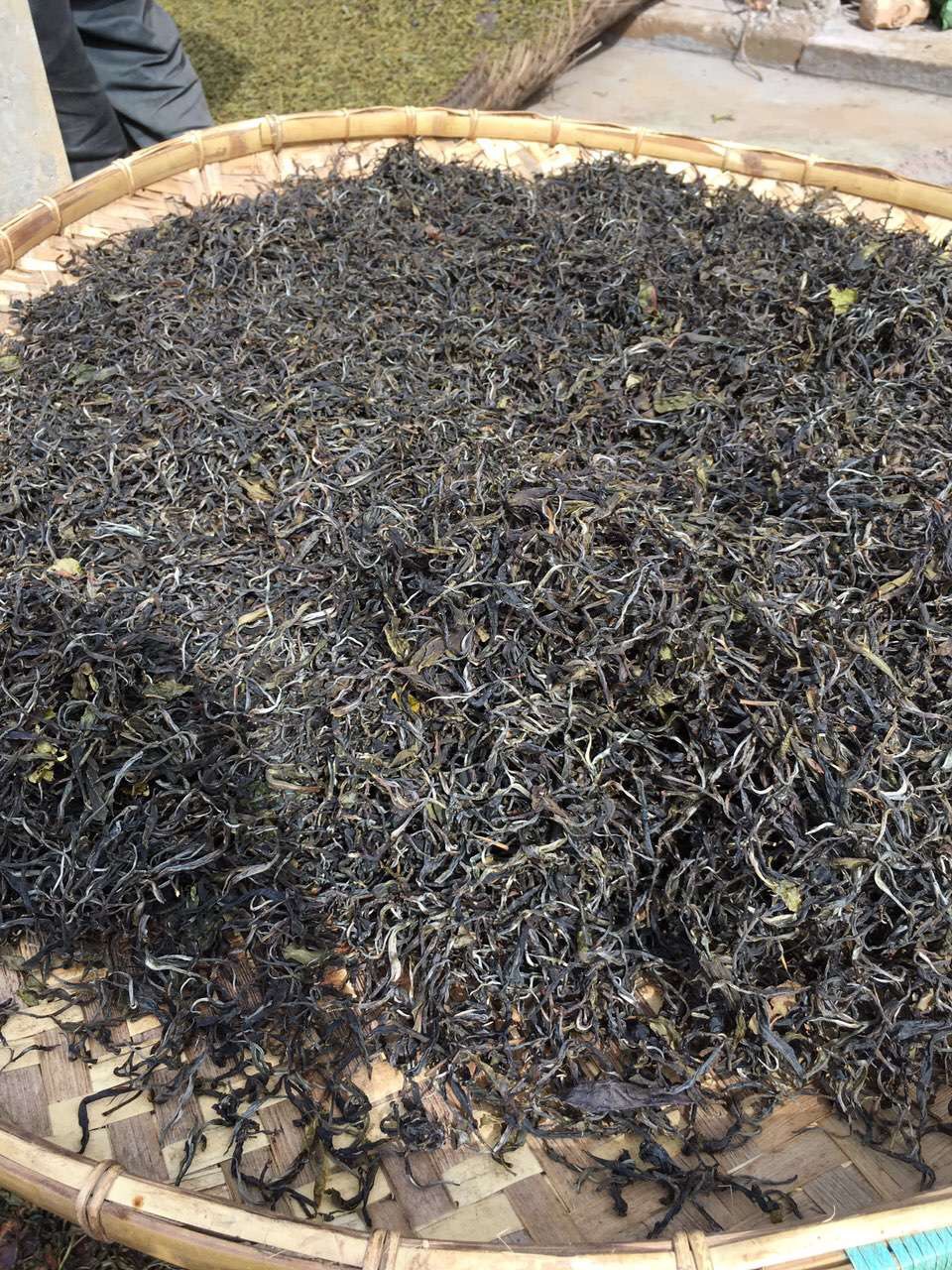 老挝竟然也有很好喝的普洱茶,你没想到吧?