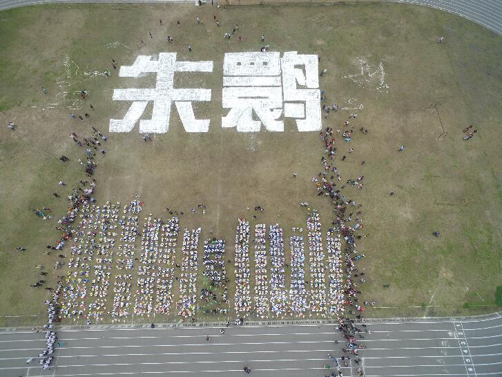 陕西洋县“千人写朱鹮”纪念朱鹮保护35周年