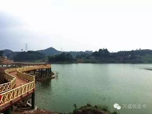 杨晓云调研全域旅游和“三湖”生态文明建设工作