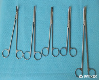 外科医生手术刀的种类型号，怕是比女生口红的种类型号，还要多
