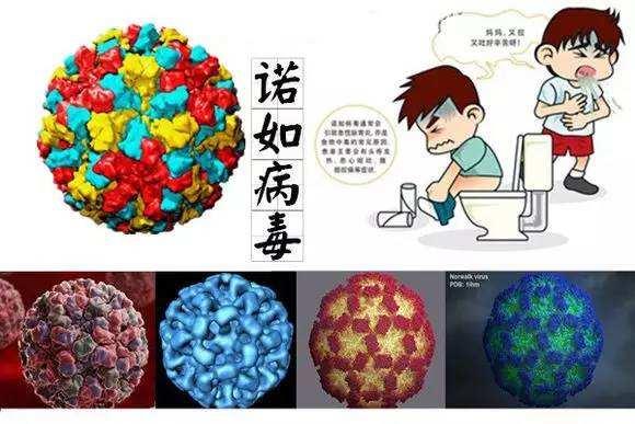 健康提醒：这段时间流行的疾病有这些 预防宝典已备好-第1张图片-农百科