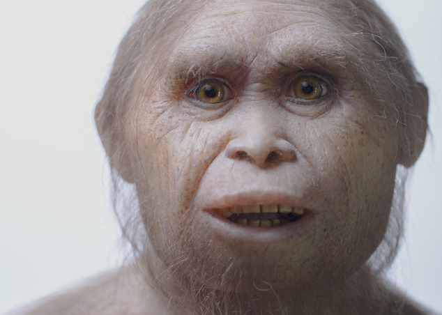霍比特人是真的？印尼发现70万年前袖珍人遗骸