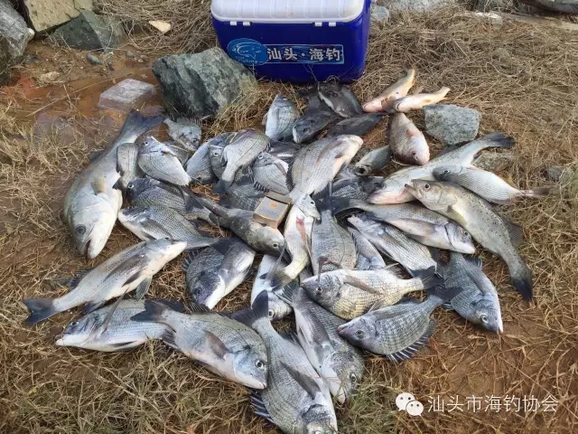 游钓福建福清，完美收杆（内附攻略）