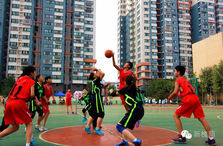 篮球架起友谊桥 —记纬十路小学举办第七届“希望之星”（纬十杯）小学生篮球邀请赛
