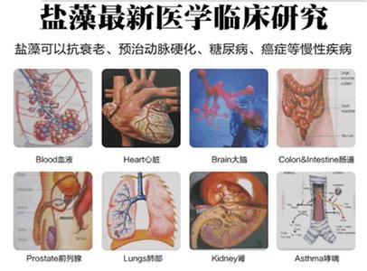 盐藻的功效是真实的吗？