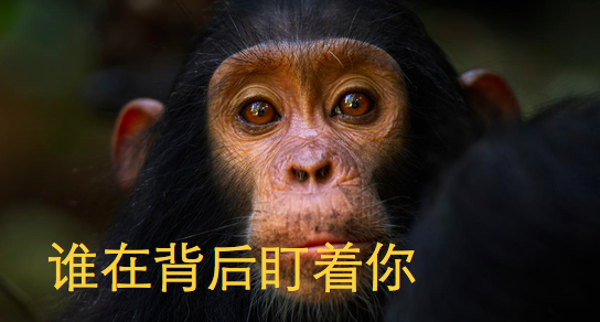 开个表情僵硬的玩笑，看APP外包公司怎么搞死创业者