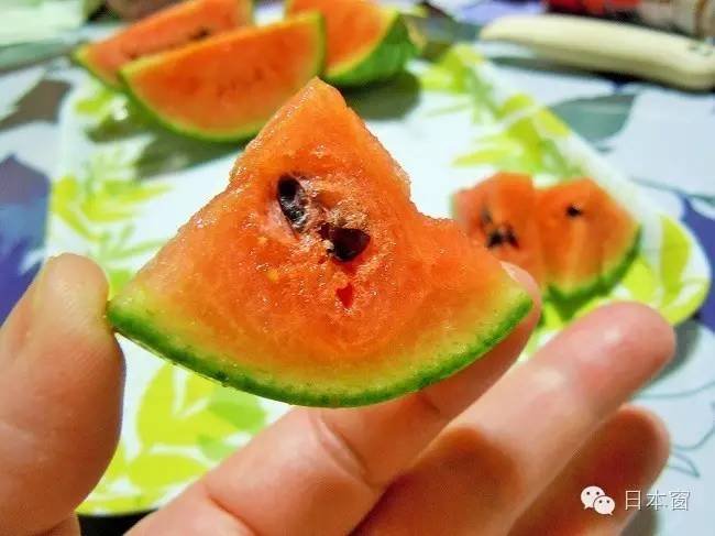 中国夏天随便吃的西瓜，为什么日本却卖到“天价”？