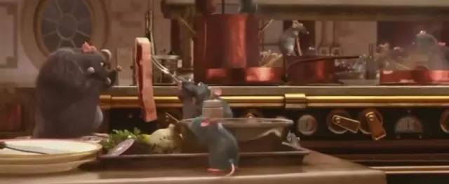 料理鼠王丨一只会做料理的老鼠，想不想养一只呢！