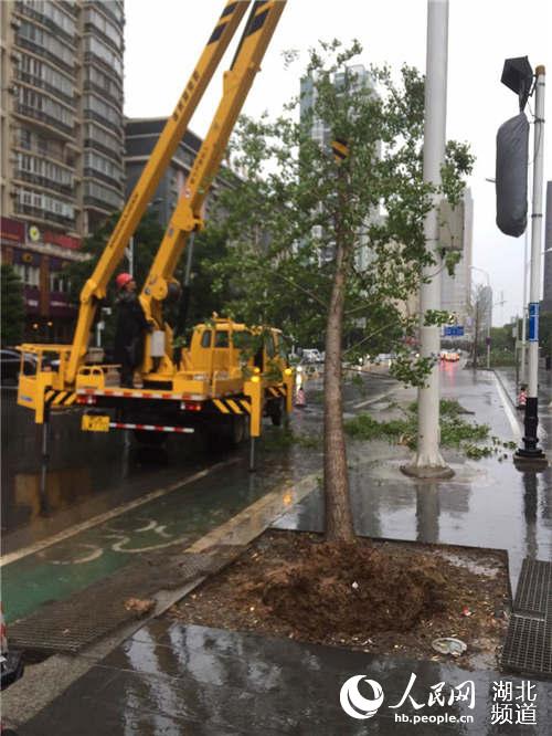武昌城管绿化队紧急排除树木险情