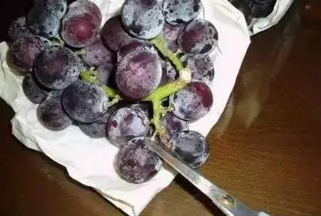 葡萄先洗了之后容易坏掉，究竟如何保鲜呢？