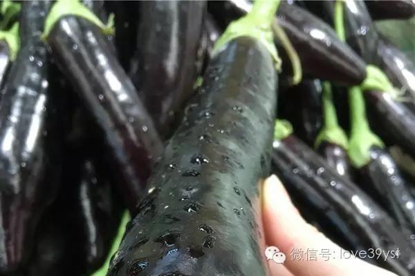 茄子是个宝 夏天吃它能治六种病 很多人不知道