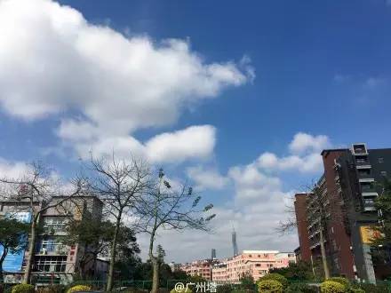 广州的天气就是这么任性！今天“广州蓝”美美哒 然而24日最低将降到6℃继续雨雨雨！