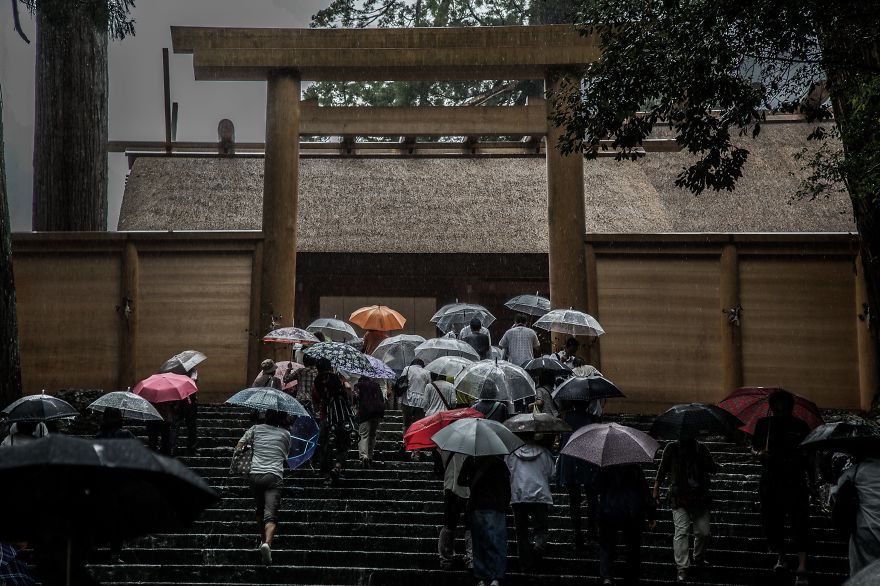 像画一样的日本雨季景象