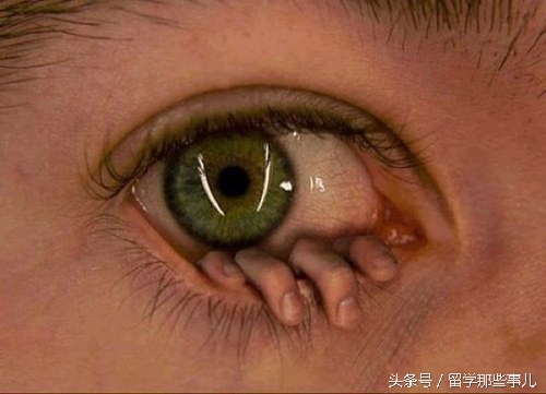 揭秘留学圈里你不知道的灰色收入！
