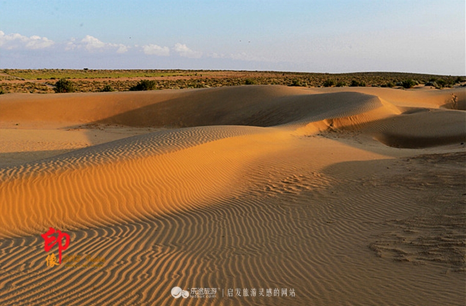 杰伊瑟梅尔沙漠--夕阳下的驼队