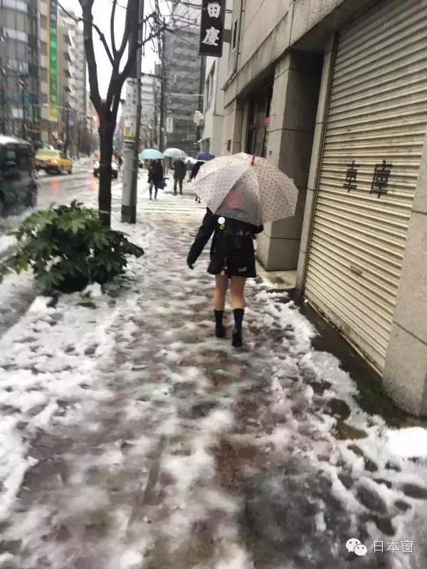 一场大雪让东京混乱，但日本人的表现令人佩服！