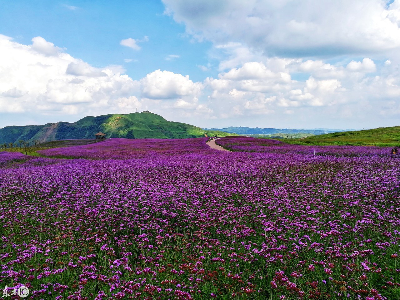 醉美 塞外高原 贵州黔西南布依族苗族自治州 兴仁 放马坪