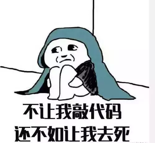 谁都不能阻止我敲代码