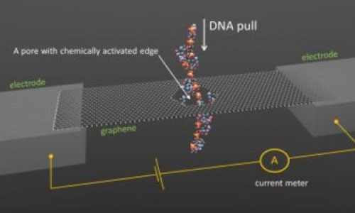 新方法：石墨单分子层孔道DNA测序更精确