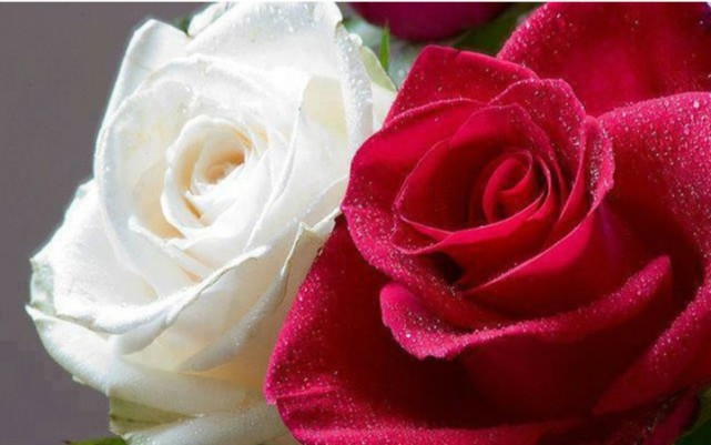 追男神攻略谁最强？七夕脱单跟林依晨赵丽颖唐嫣学！