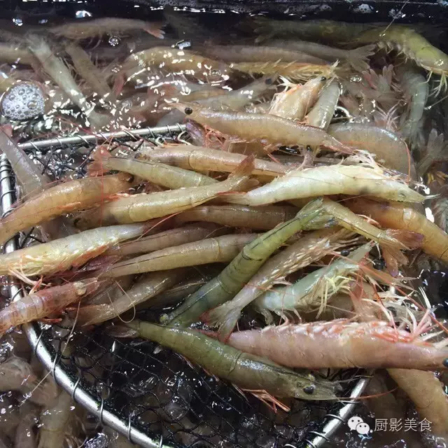香港西贡海鲜市场,珍稀野生鱼类宝典! 食材宝典 第41张 香港西贡海鲜市场,珍稀野生鱼类宝典! 食材宝典 第41张