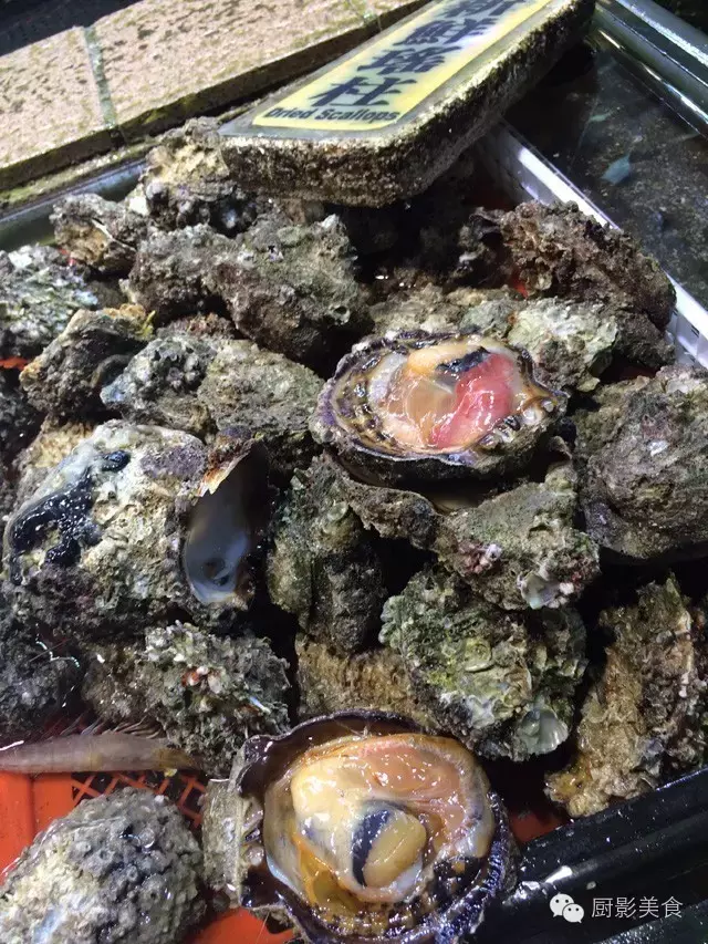 香港西贡海鲜市场,珍稀野生鱼类宝典! 食材宝典 第54张 香港西贡海鲜市场,珍稀野生鱼类宝典! 食材宝典 第54张