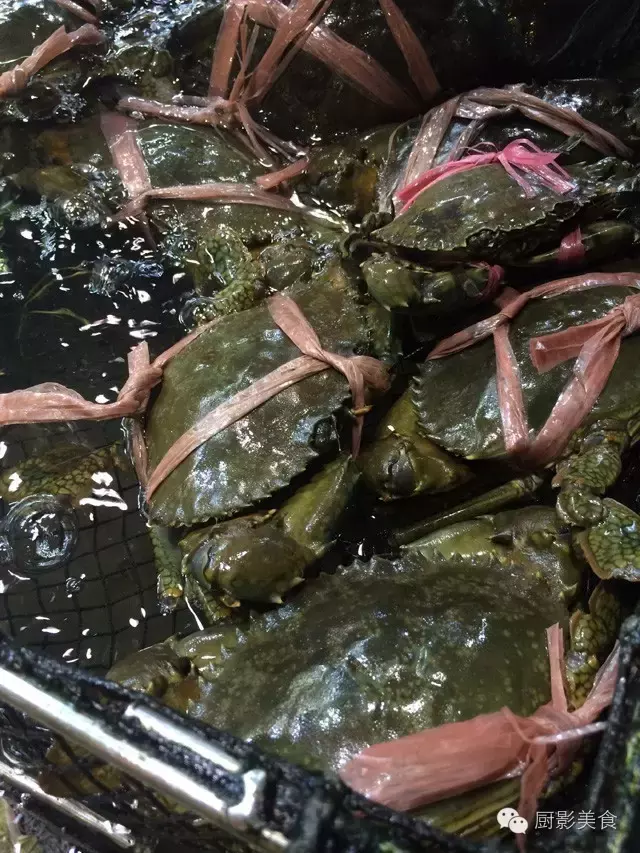 香港西贡海鲜市场,珍稀野生鱼类宝典! 食材宝典 第47张 香港西贡海鲜市场,珍稀野生鱼类宝典! 食材宝典 第47张
