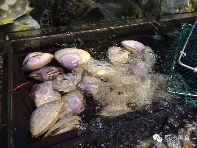 香港西贡海鲜市场,珍稀野生鱼类宝典! 食材宝典 第66张 香港西贡海鲜市场,珍稀野生鱼类宝典! 食材宝典 第66张