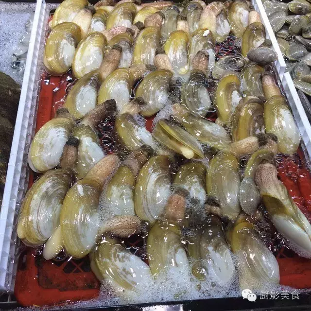 香港西贡海鲜市场,珍稀野生鱼类宝典! 食材宝典 第15张 香港西贡海鲜市场,珍稀野生鱼类宝典! 食材宝典 第15张