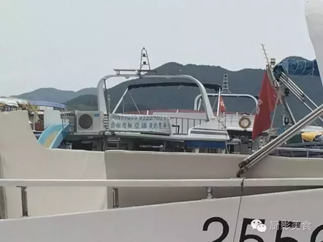 香港西贡海鲜市场,珍稀野生鱼类宝典! 食材宝典 第80张 香港西贡海鲜市场,珍稀野生鱼类宝典! 食材宝典 第80张