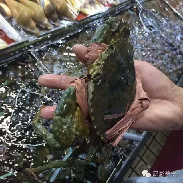香港西贡海鲜市场,珍稀野生鱼类宝典! 食材宝典 第57张 香港西贡海鲜市场,珍稀野生鱼类宝典! 食材宝典 第57张
