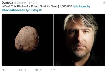 一张土豆照片竟以百万美元的价格售出