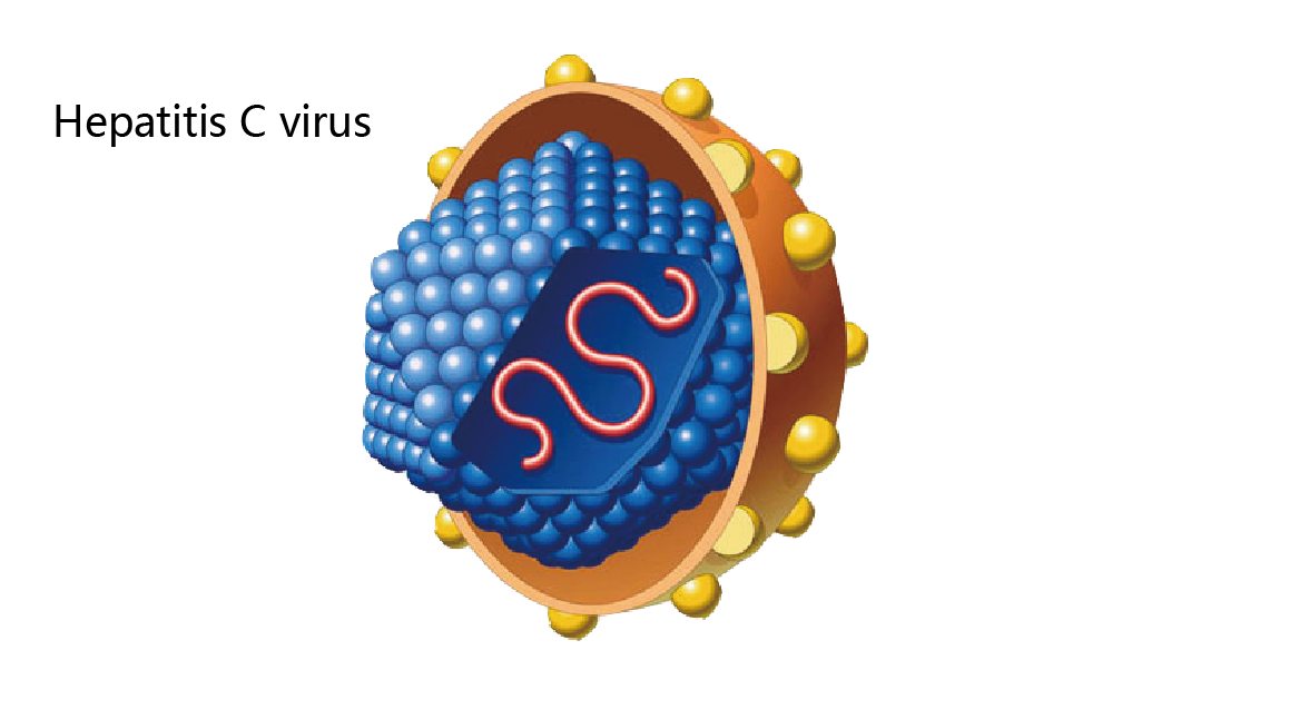 HCV药物研发进展综述(一)：丙型肝炎与抗丙肝药物