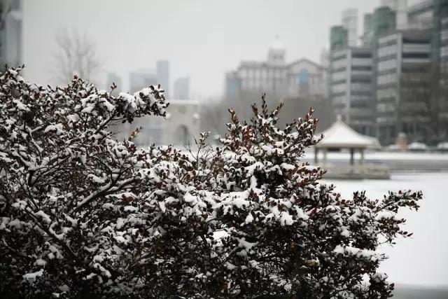 你猜，这个冬天天津会下几场雪？
