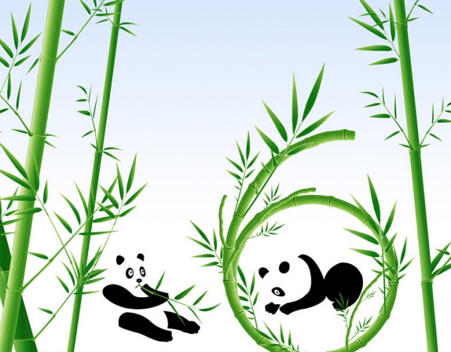 滚滚故事 | 30年前，谁改写了大熊猫的命运