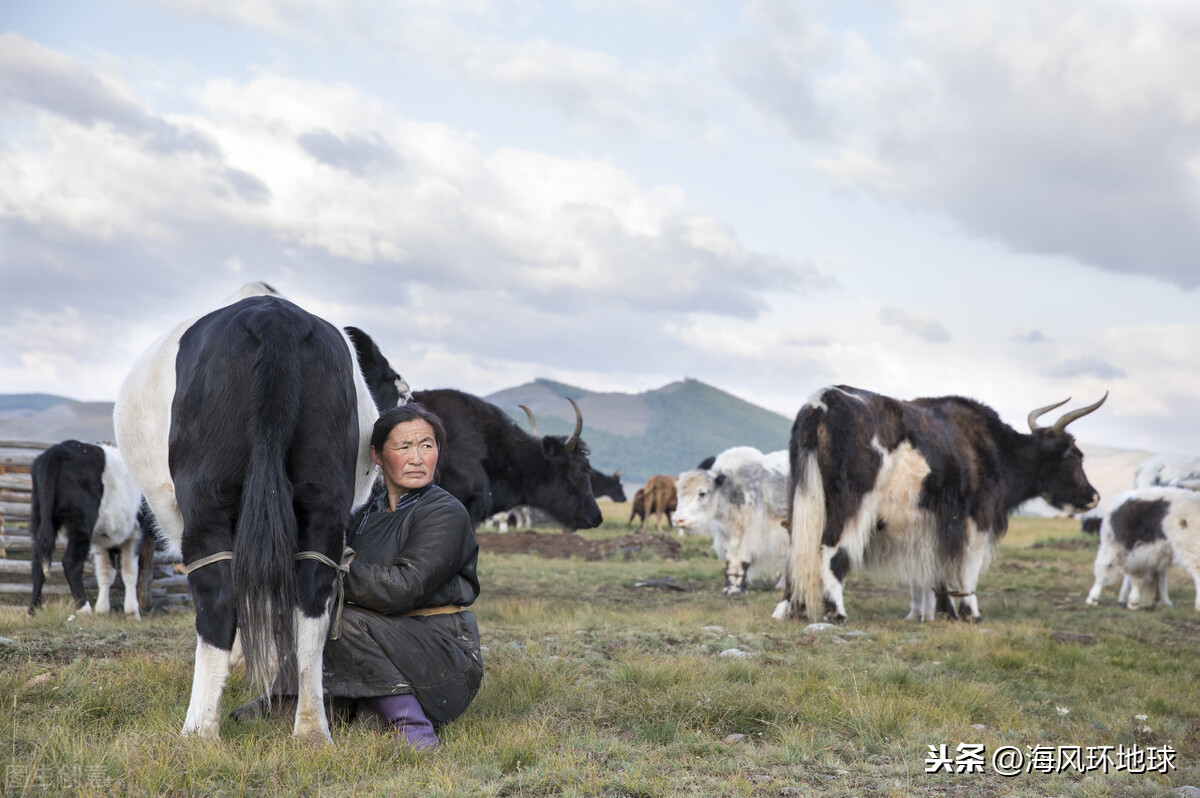 最冷首都離北京很近？最低氣溫-40℃，蒙古人為何定都烏蘭巴托