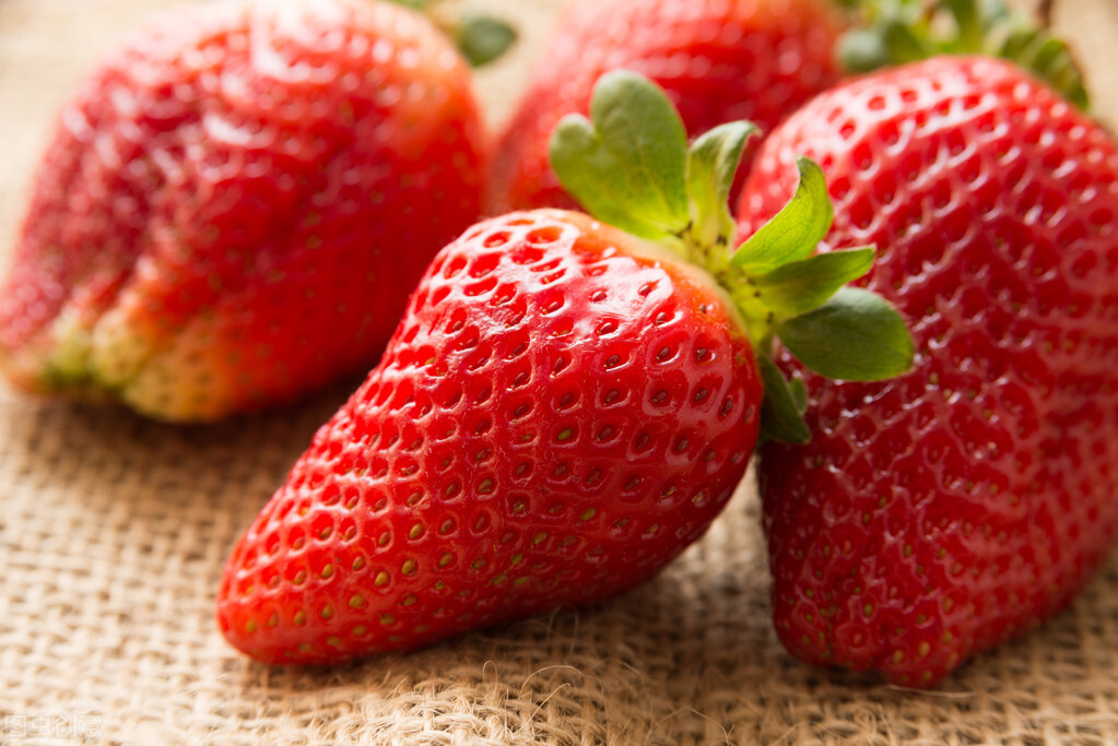 图片[8]-冬天吃不完的草莓怎么储存能延缓腐烂？分享妙招给你学会试下-起舞食谱网