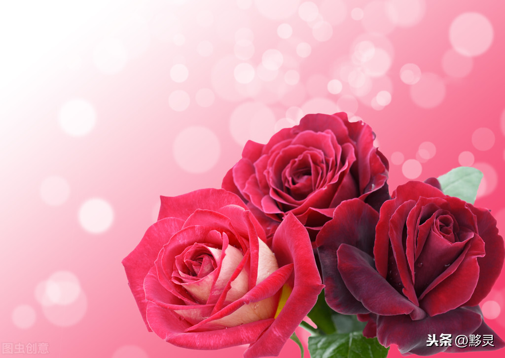 “三朵玫瑰花的故事”带来的触动，守护好孩子心中的爱