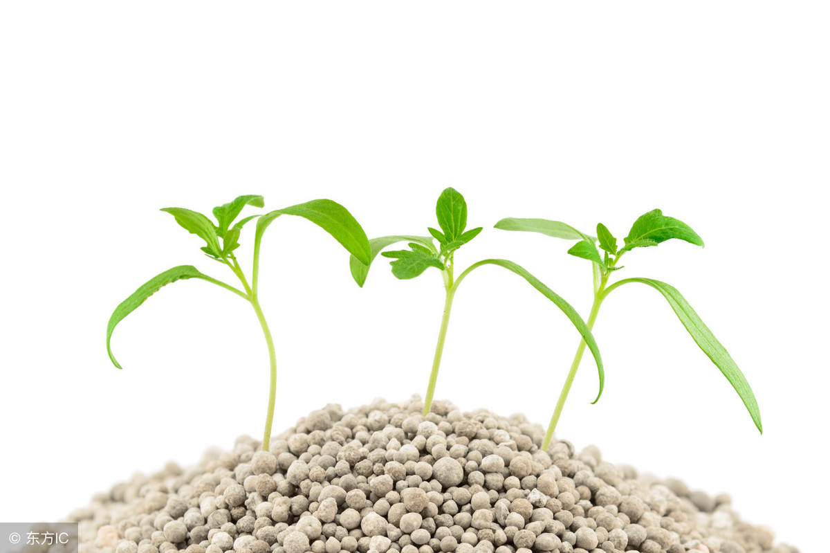 什么是氮肥？氮肥怎么施最好