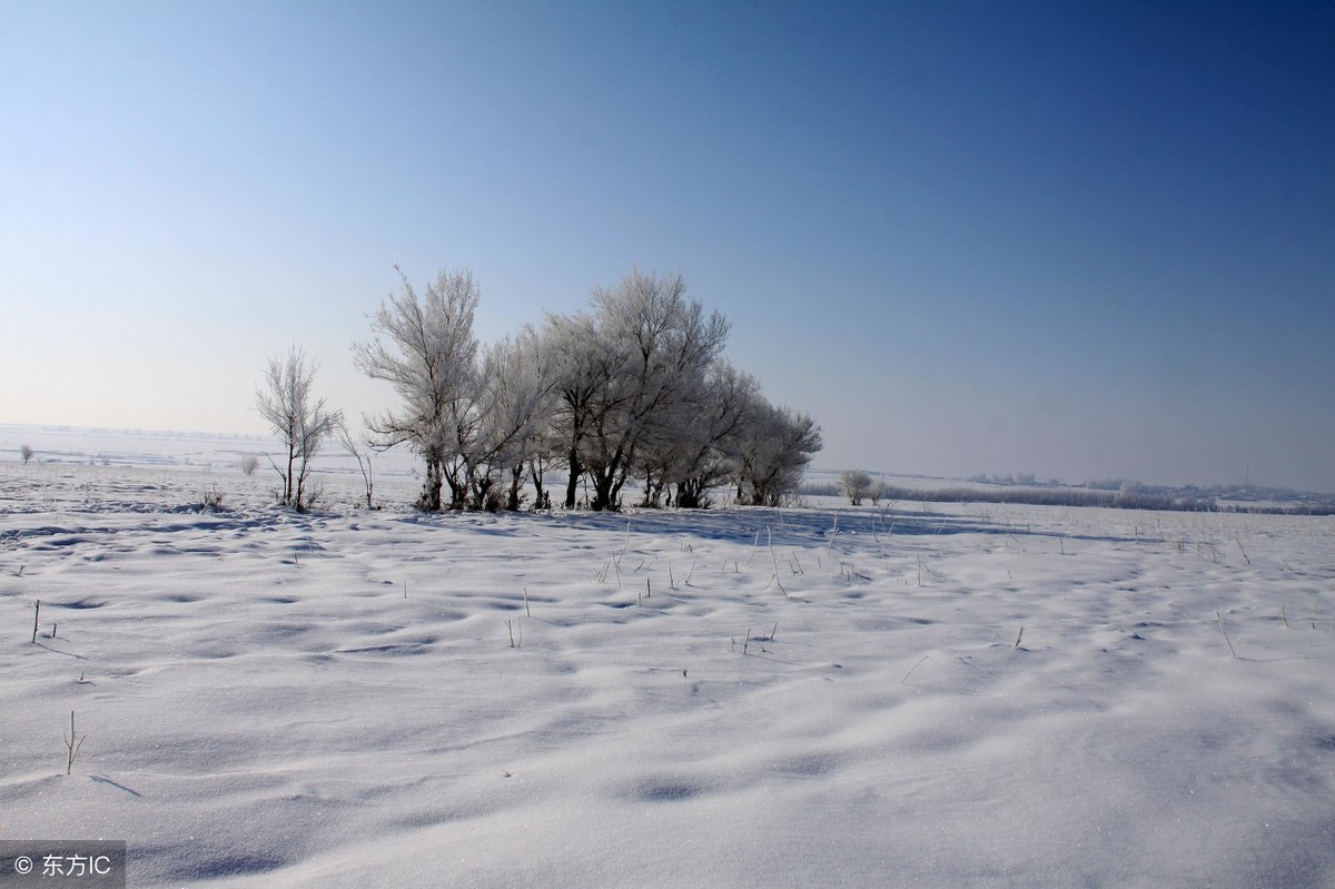 古代的冬天是怎样的？50句诗词带你穿越千年看看以前的美景-第5张图片-诗句网