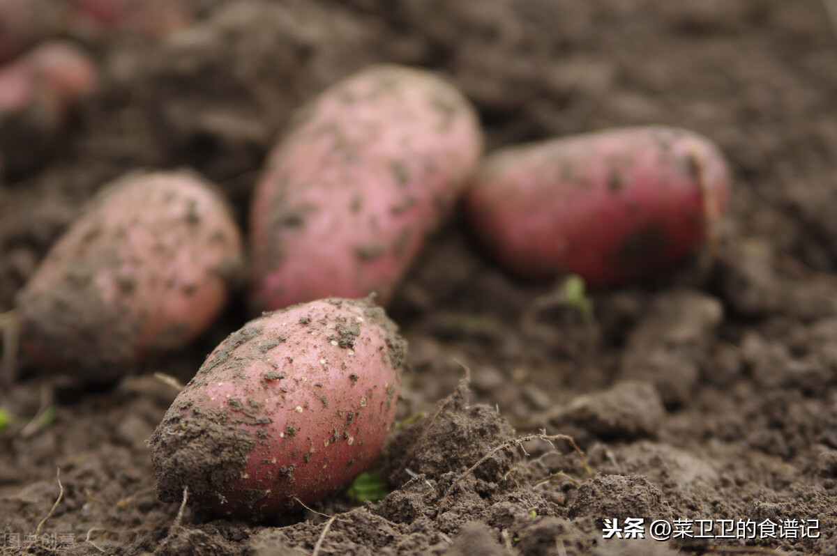红薯放在家总是发霉发芽？用这三个技巧，家里的红薯越放越甜